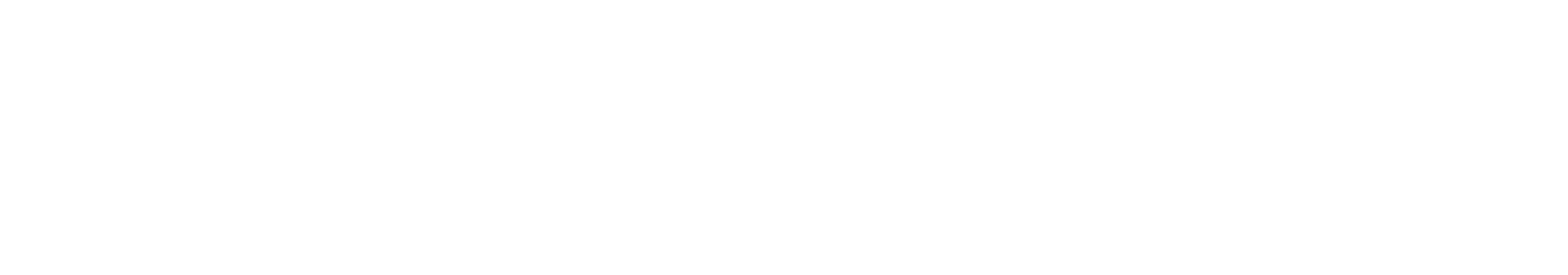 Max Systems